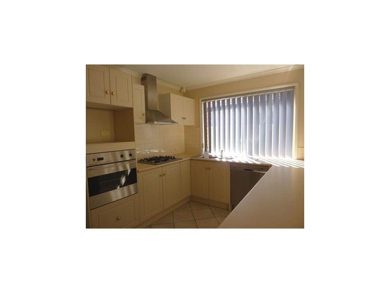 20 Stonehouse Avenue, Camden Park SA 5038