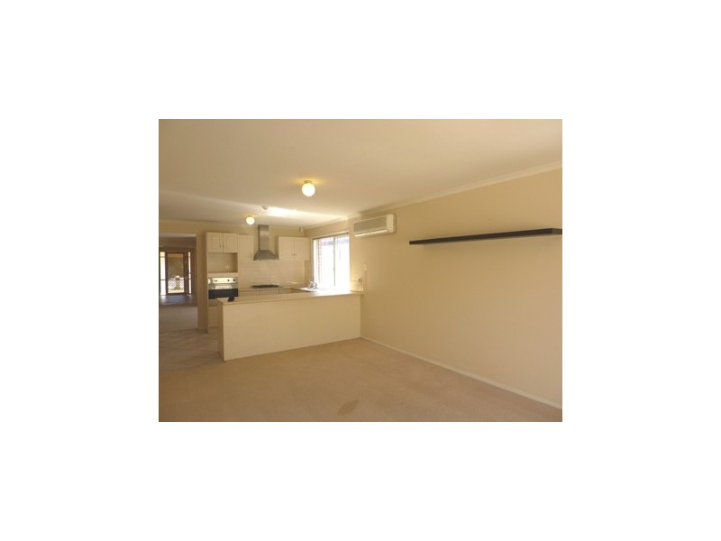 20 Stonehouse Avenue, Camden Park SA 5038