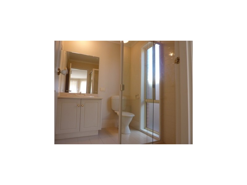 20 Stonehouse Avenue, Camden Park SA 5038