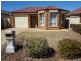 20 Stonehouse Avenue, Camden Park SA 5038