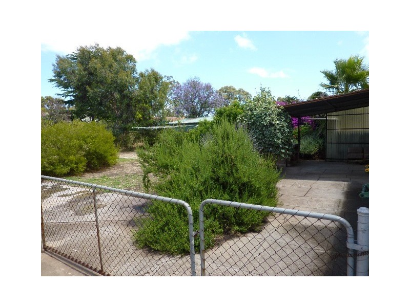 4 Hillary Ave, Morphettville SA 5043