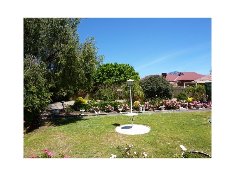 55 Avenue Road, Cumberland Park SA 5041