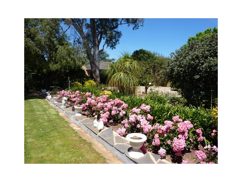 55 Avenue Road, Cumberland Park SA 5041