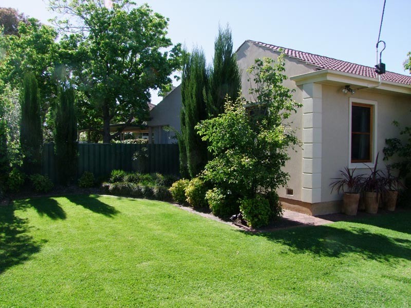 53 Chopin Road, Somerton Park SA 5044