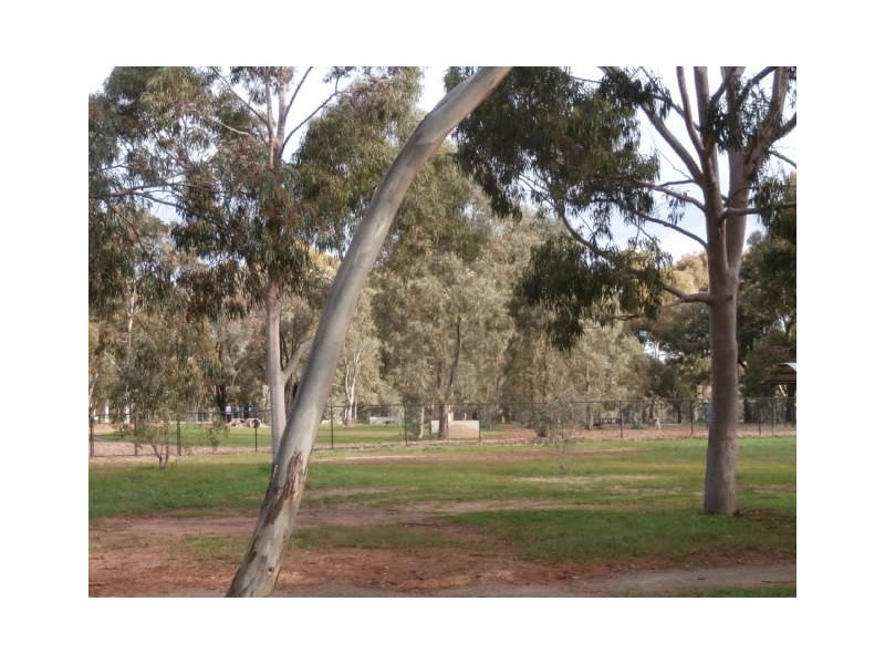 3 Lawn Street, Panorama SA 5041