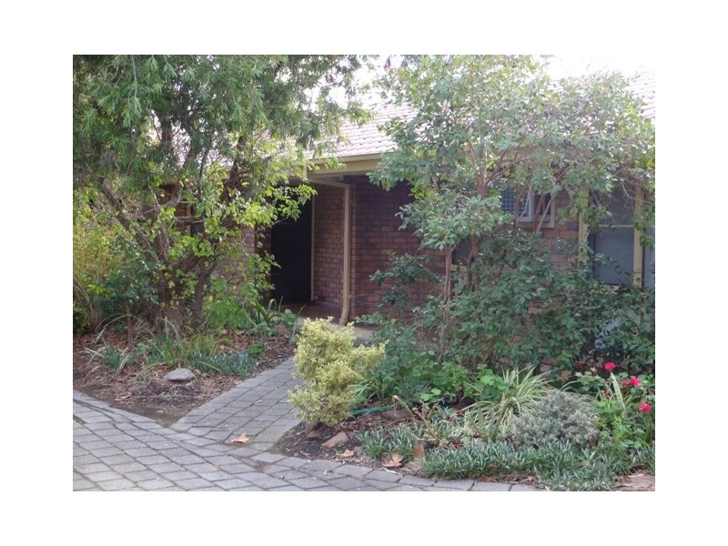 4/38 Murray Tce, Oaklands Park SA 5046