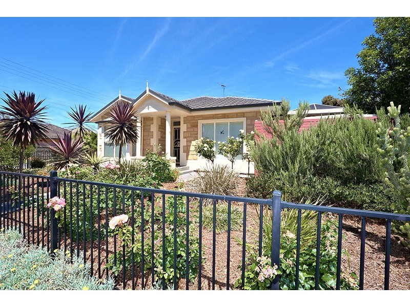 7 David Avenue, Glenelg North SA 5045