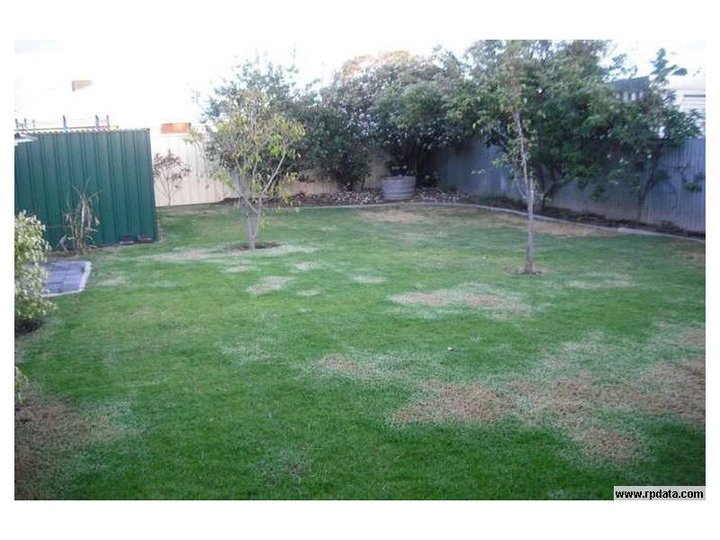 36 Elder Terrace, Glengowrie SA 5044