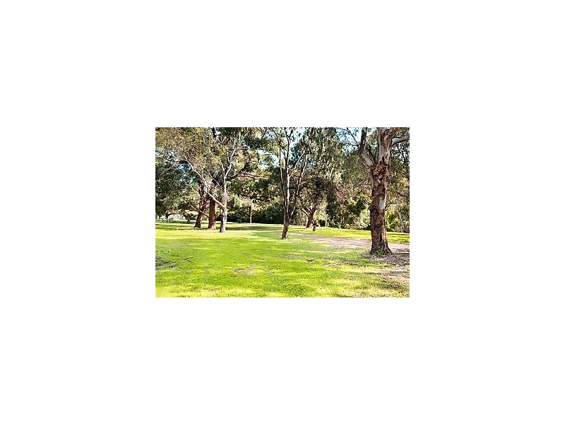 5/31 The Glen Road, Bardwell Valley NSW 2207