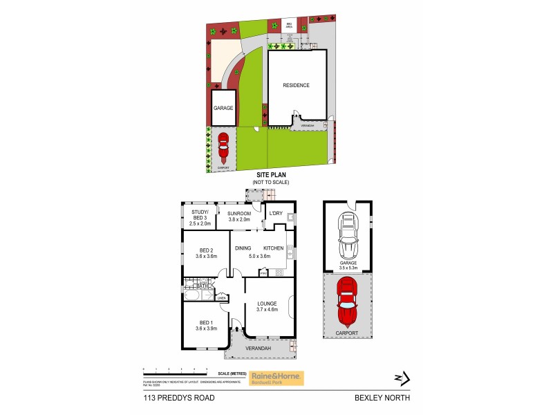 113 Preddys Road, Bexley North NSW 2207 Floorplan