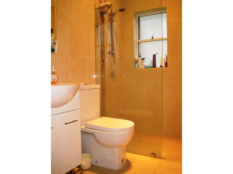 3 Wearne Street, Canterbury NSW 2193