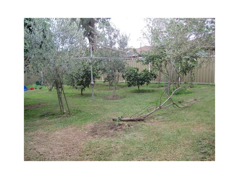 68 Chapel Street, Belmore NSW 2192