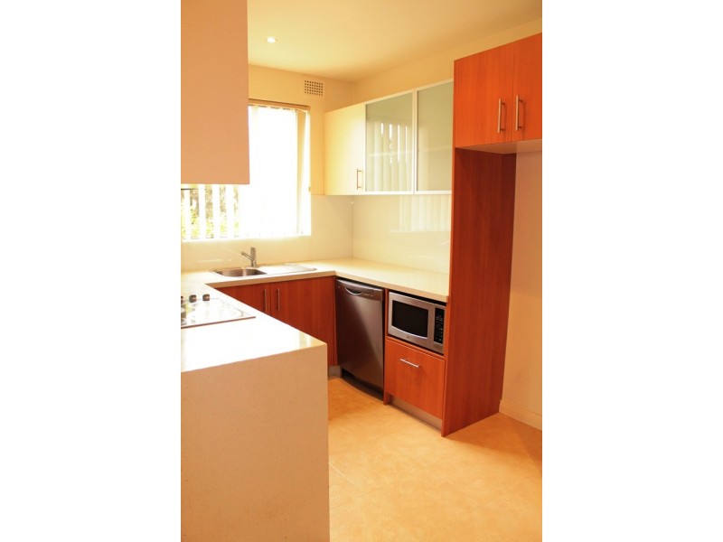 29 Phillip Street, Roselands NSW 2196