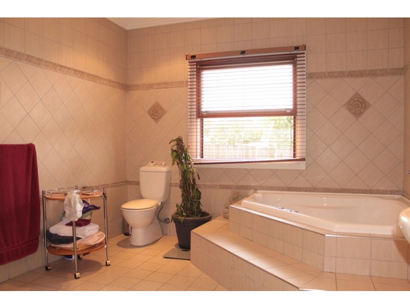 443A Homer Street, Earlwood NSW 2206