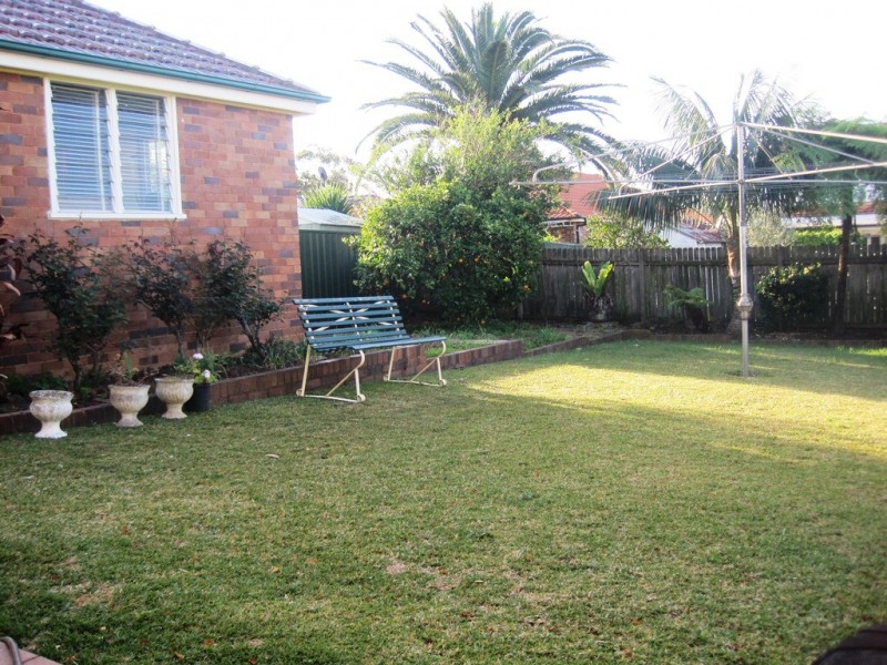 53 Turton Avenue, Clemton Park NSW 2206