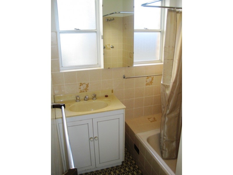 53 Turton Avenue, Clemton Park NSW 2206