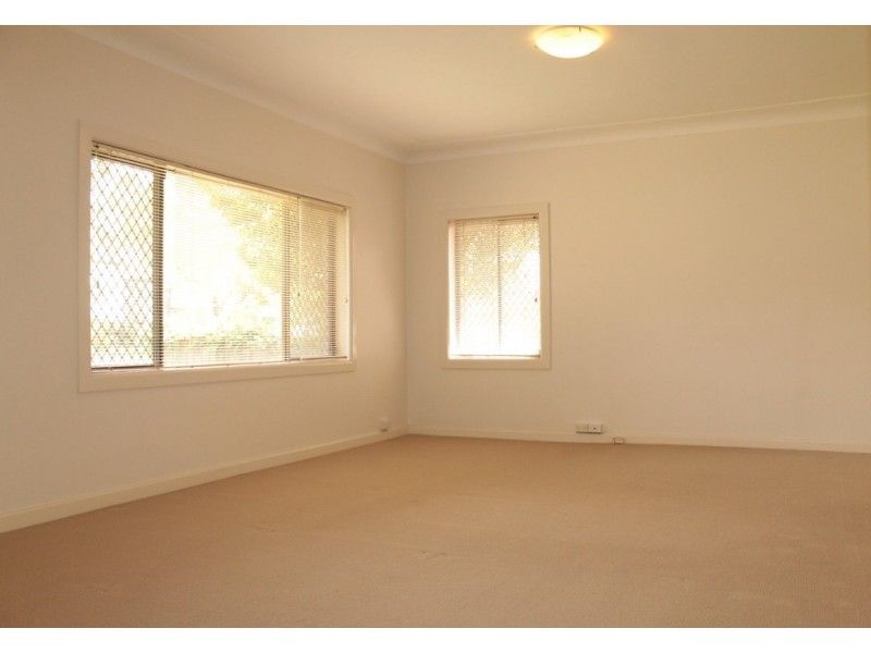 20 Rees Avenue, Belmore NSW 2192