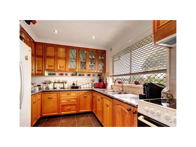 20 Parkland Avenue, Punchbowl NSW 2196