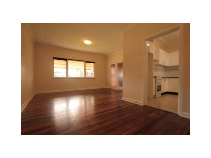 84 Kingsgrove Road, Kingsgrove NSW 2208