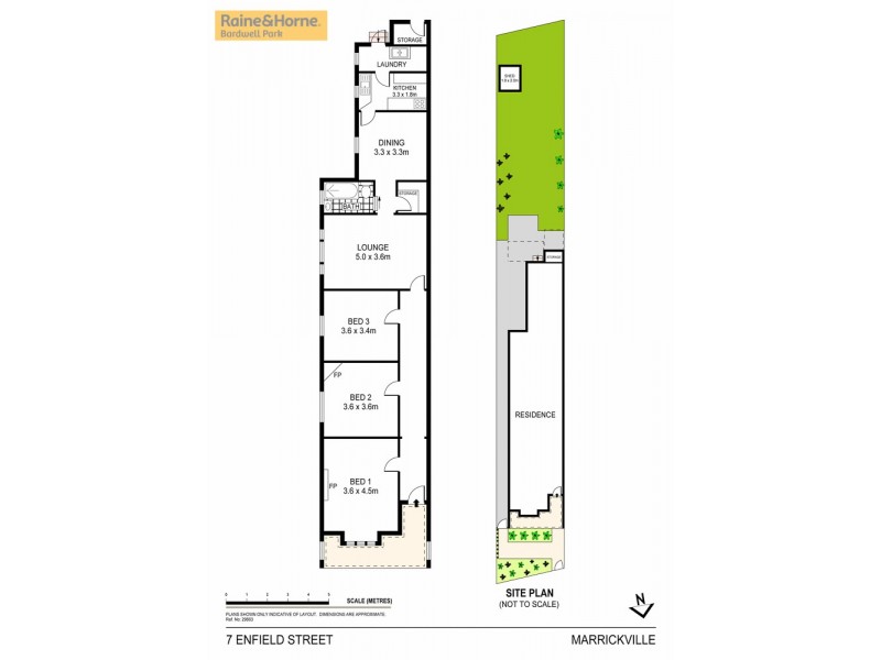 7 Enfield Street, Marrickville NSW 2204 Floorplan