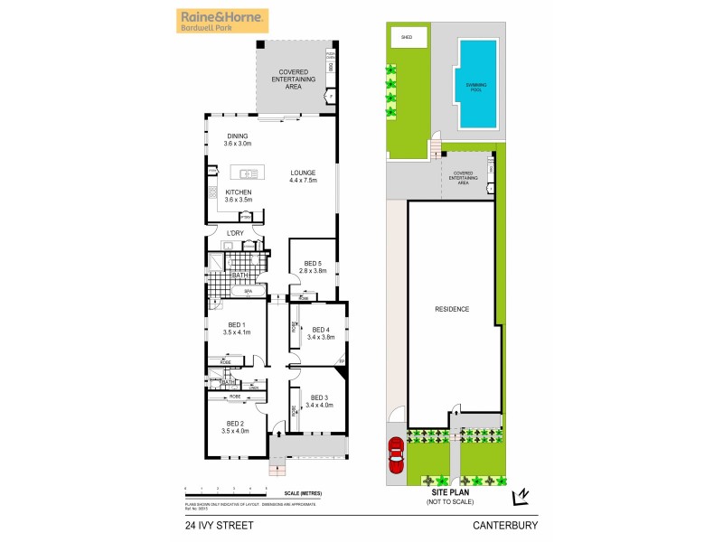 24 Ivy Street, Canterbury NSW 2193 Floorplan