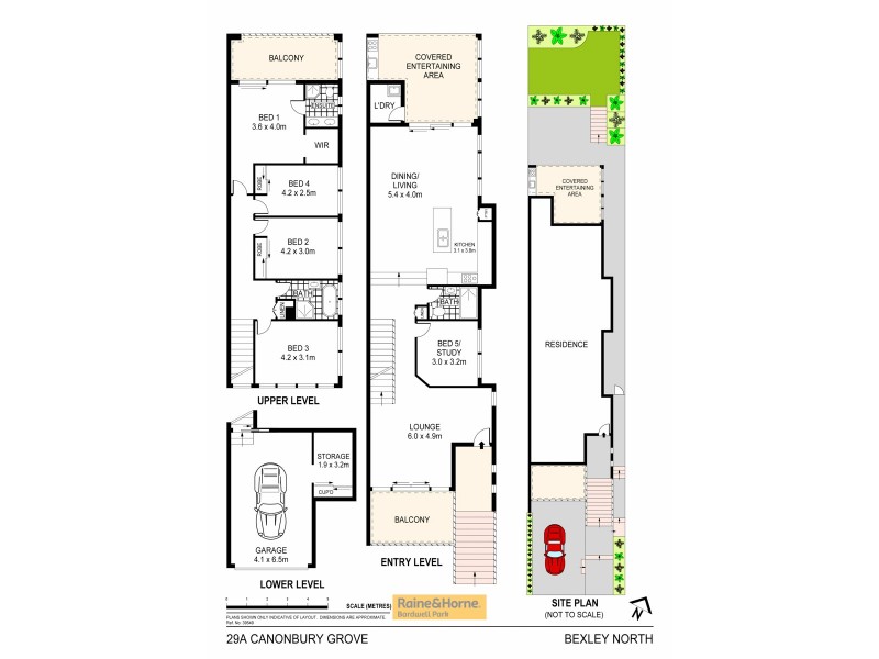 29a Canonbury Grove, Bexley North NSW 2207 Floorplan