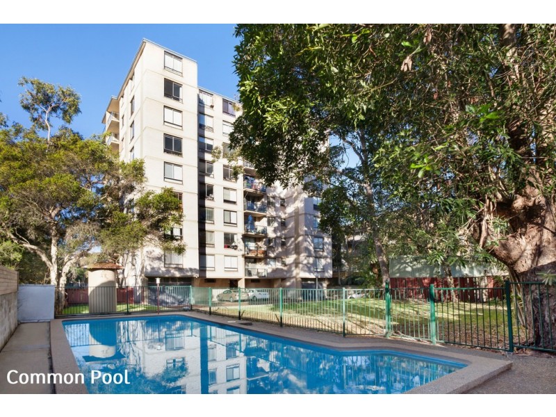 2B/39-41 Penkivil Street, Bondi NSW 2026