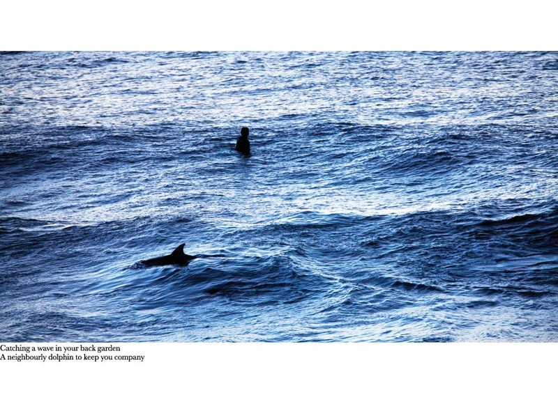 105 Ramsgate Avenue, Bondi Beach NSW 2026