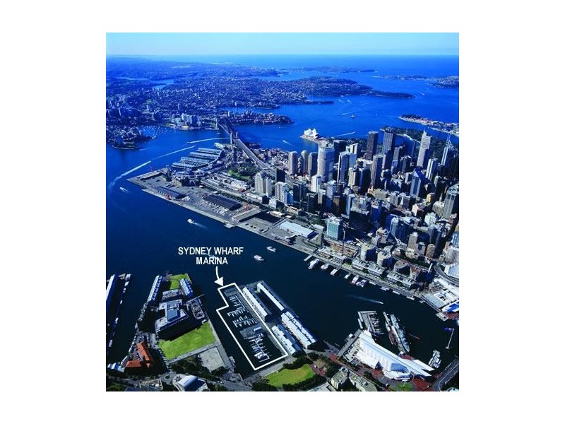 56 Pirrama Road, Pyrmont NSW 2009