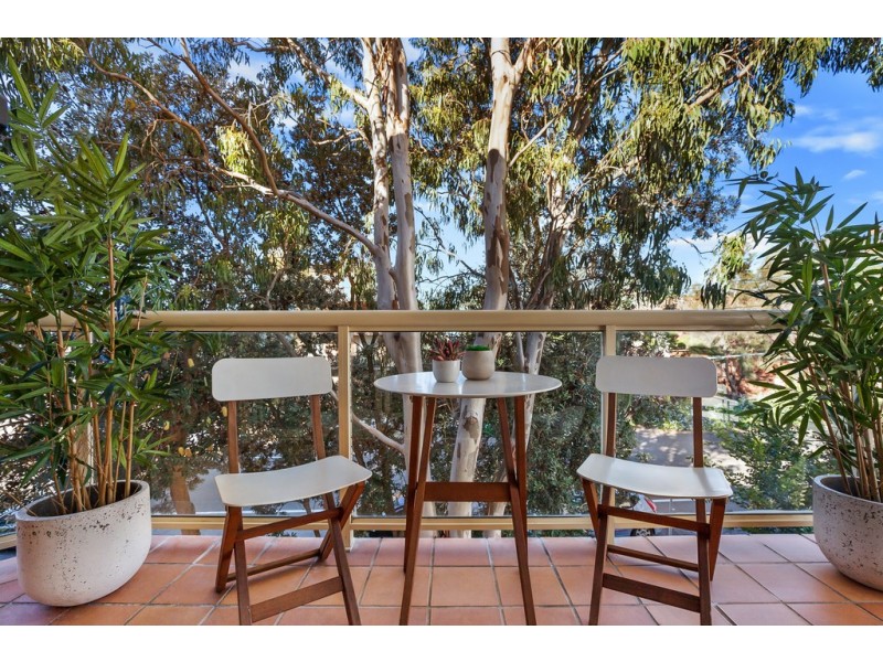 5/51 Bennett Street, Bondi NSW 2026