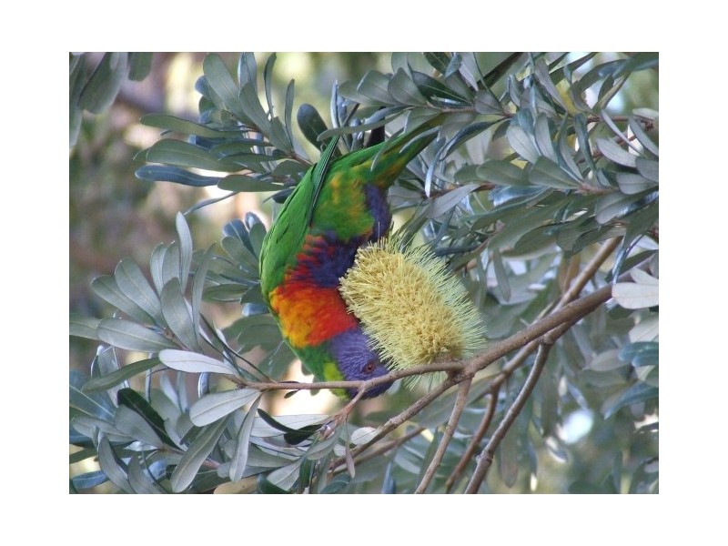 72 Bundeena Drive, Bundeena NSW 2230