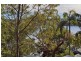 3 Cullen Street, Maianbar NSW 2230