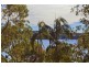 3 Cullen Street, Maianbar NSW 2230