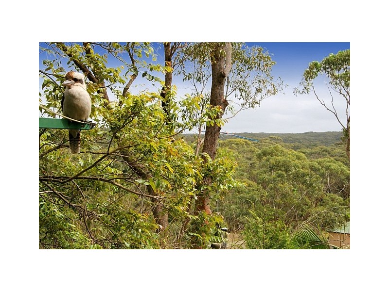 88 Brighton Street, Bundeena NSW 2230