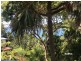 10 Short Avenue, Bundeena NSW 2230