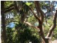 10 Short Avenue, Bundeena NSW 2230