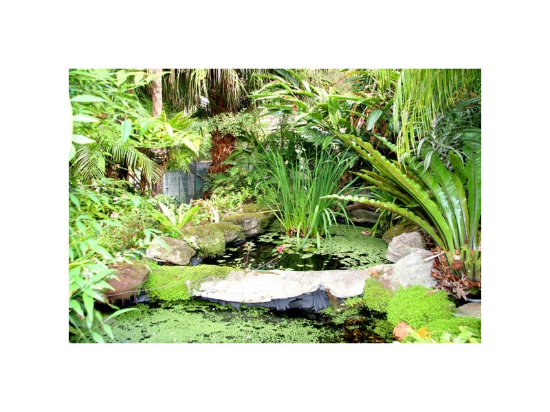 21 Loftus Street, Bundeena NSW 2230