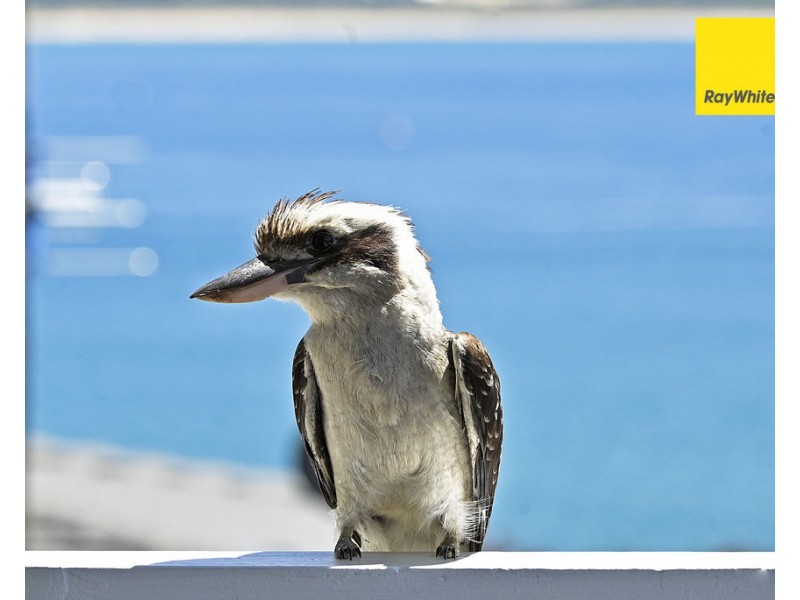 14 Eric Street, Bundeena NSW 2230