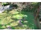 19 Park Road, Maianbar NSW 2230