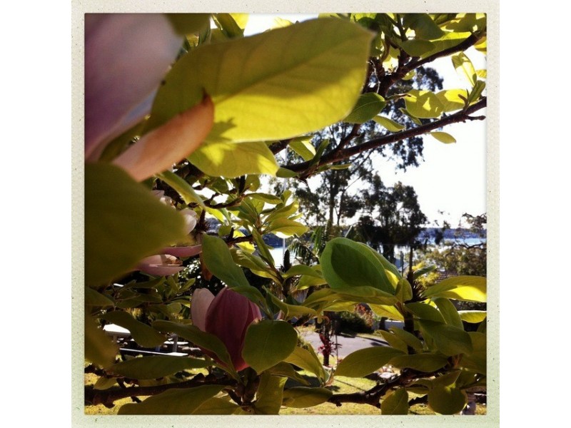 16 Crammond Avenue, Bundeena NSW 2230