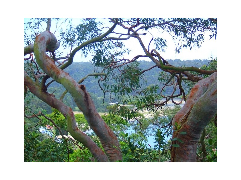 19 Kerr Avenue, Bundeena NSW 2230