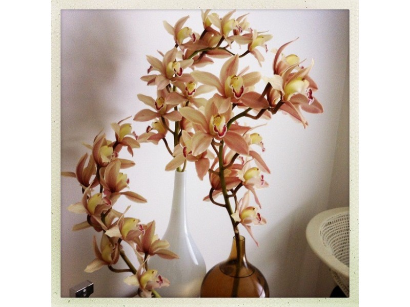 1 Beachcomber Avenue, Bundeena NSW 2230