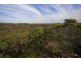 45 Beachcomber Avenue, Bundeena NSW 2230