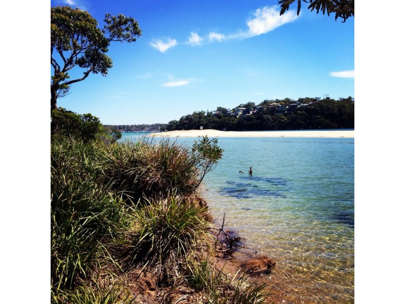 54 Pacific Crescent, Maianbar NSW 2230