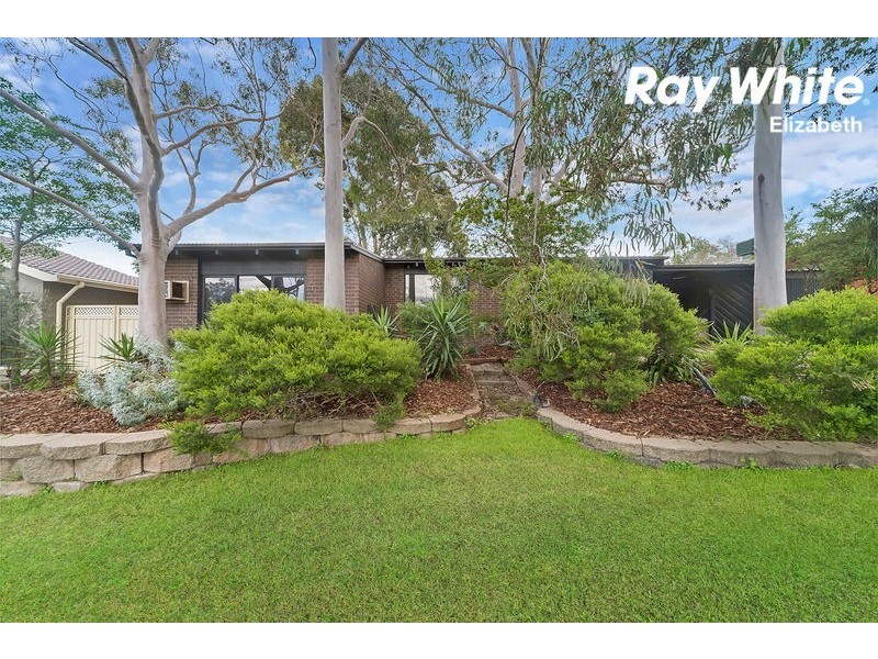 16 Tilley Drive, Surrey Downs SA 5126