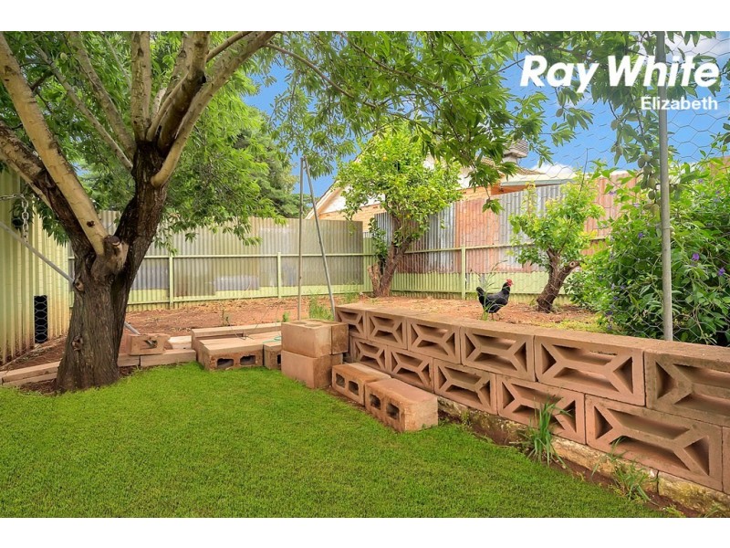 56 Hamblynn Road, Elizabeth Downs SA 5113