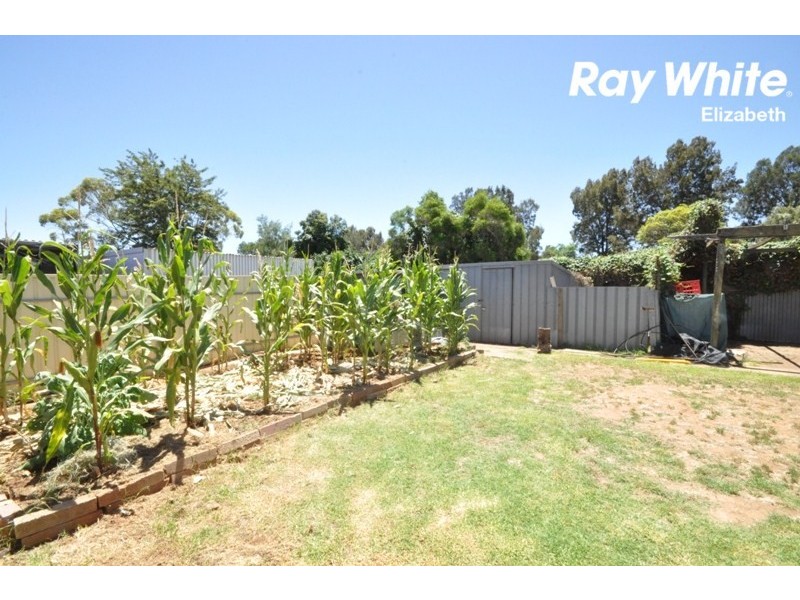 7 Preston Street, Elizabeth Downs SA 5113