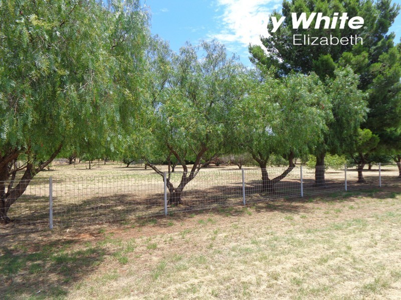 44 Bain Road, Angle Vale SA 5117