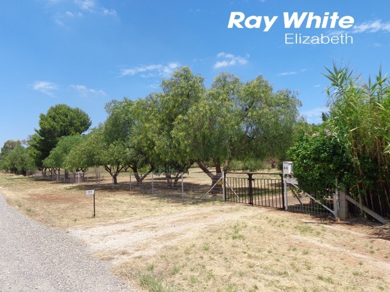 44 Bain Road, Angle Vale SA 5117