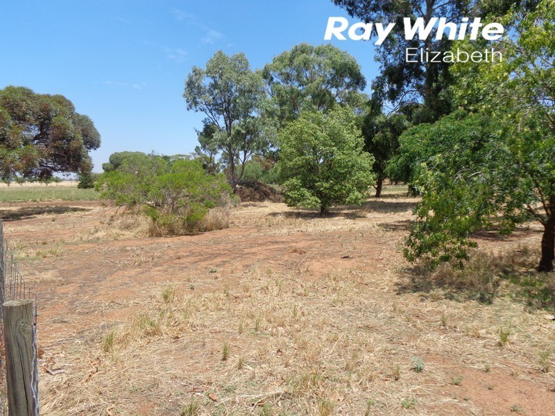 44 Bain Road, Angle Vale SA 5117